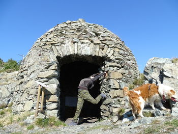 View of dog against clear sky