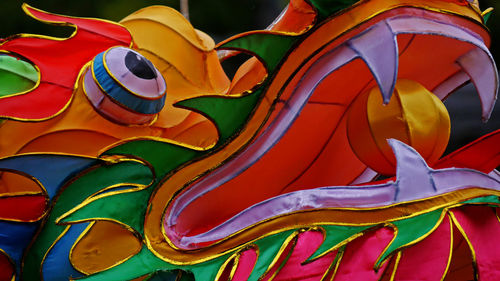 Close-up of multi colored dragon
