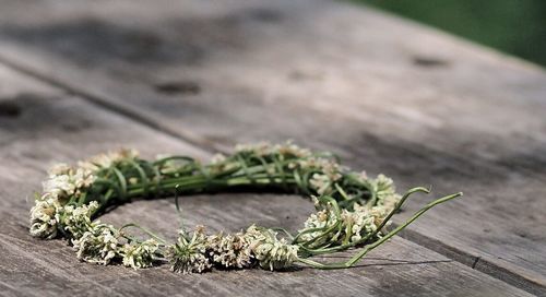 Close-up of flower wreath on planks