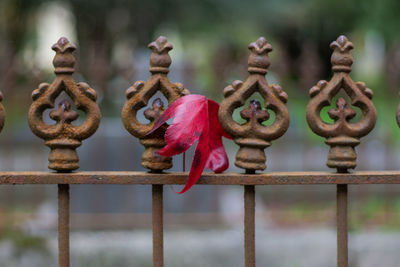 Close-up of rusty sculpture on railing