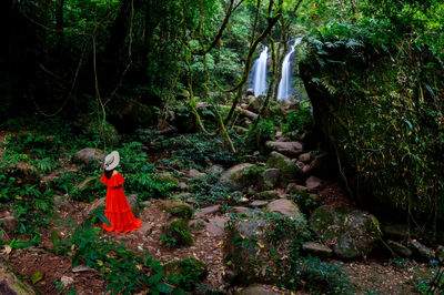 Rear view of woman standing on rock