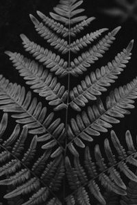 Full frame shot of metal