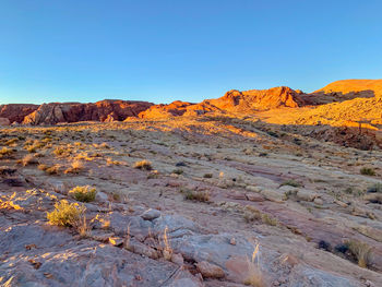 Rock formations in a desert, valley of fire state park, nevada 