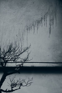 High angle view of bare tree by lake