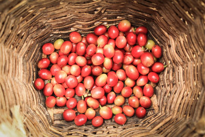 Close-up of tomatoes in basket