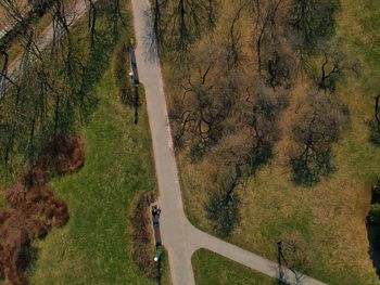 High angle view of road amidst trees in forest