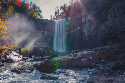 Scenic view of waterfall in forest