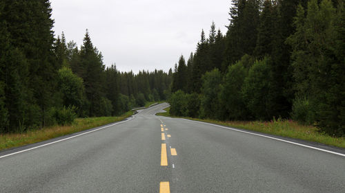 Empty road amidst trees against sky