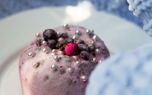 Close-up of purple fruit on plant