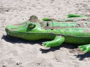 High angle view of green toy on sand