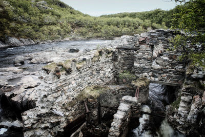 Scenic view of waterfall in forest