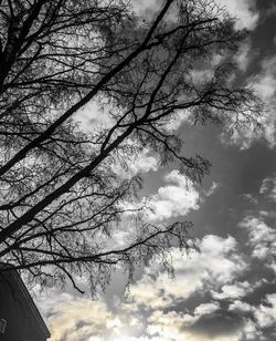 Low angle view of silhouette trees against sky