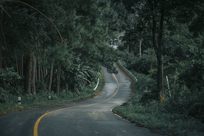 Road amidst trees in forest