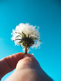 Close-up of hand holding dandelion against blue sky