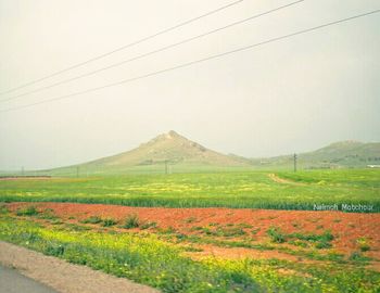 Scenic view of rural landscape