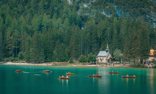 Scenic view of lake in forest