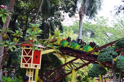 Close-up of red flowering plants against trees