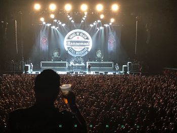 Rear view of woman enjoying music concert at night