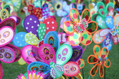 Close-up of colorful flowers for sale