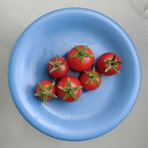 High angle view of cherry tomatoes on blue plate