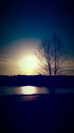 Silhouette of bare trees against sky at sunset