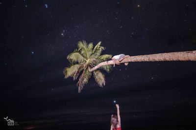 Close-up of hand holding plant against star field at night