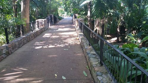 Plants and trees in park