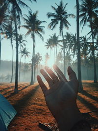 Midsection of person with palm trees against sky