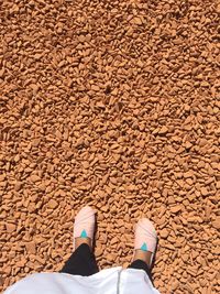 Low section of man standing on sand