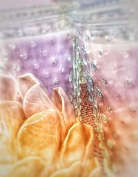 Close-up of water drops on glass