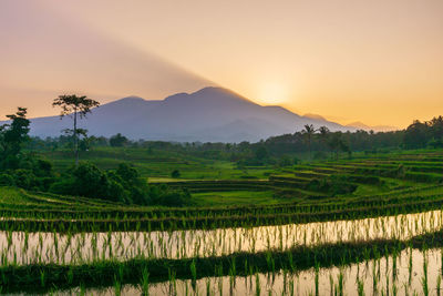 Beautiful morning view indonesia panorama landscape  with beauty color and sky natural light