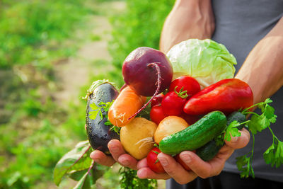 Midsection of man holding vegetables