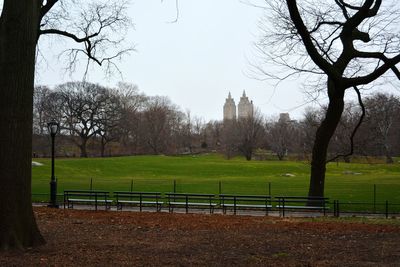 Bare trees on grassy field