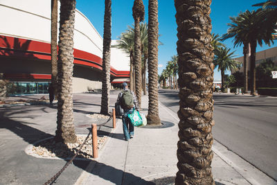 Rear view of man walking on street