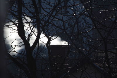 Low angle view of bare trees against sky