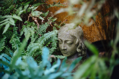Close-up of statue