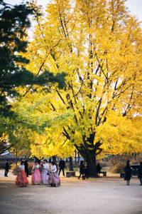 People walking on yellow autumn trees