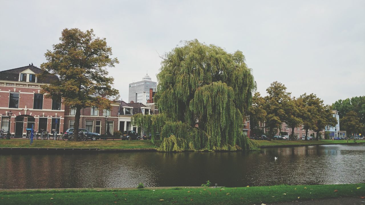 tree, water, building exterior, built structure, architecture, sky, green color, growth, clear sky, nature, lake, grass, tranquility, reflection, fountain, river, pond, day, park - man made space, beauty in nature