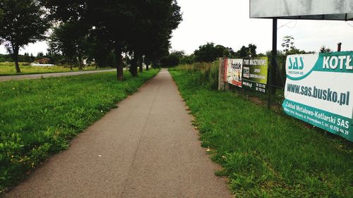 Empty road along trees