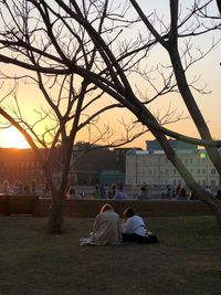 People relaxing on bare tree at sunset