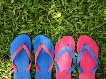 Photo of colorful rubber slippers or flip flops on fresh green grass