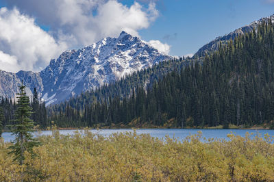 Scenic view of lake by trees against sky