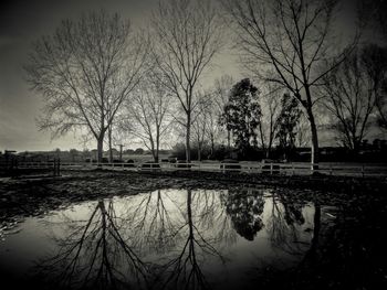 Reflection of trees in lake