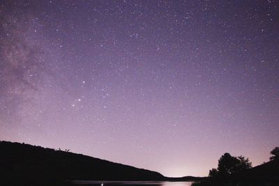 Low angle view of silhouette trees against star field at night