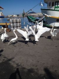 moored