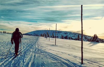 Rear view of person skiing on snow covered landscape