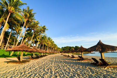 Palm trees on beach against blue sky