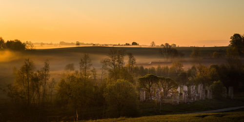 A beautiful landscape of a misty morning during summer. summertime scenery of northern europe.