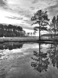 View of trees in lake against cloudy sky