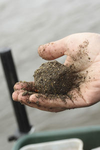 Close-up of human hand holding food